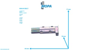 DOPPELHOHLSCHRAUBE - 01178631 passend für Deutz Motoren