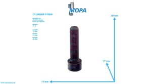 CYLINDER SCREW - 01110676 suitable for MWM & Deutz engines
