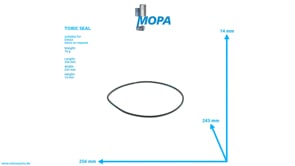 TORIC SEAL - 01153957 suitable for Deutz engines