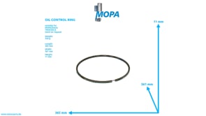 DACHFASENRING - 12183995 passend für MWM & Deutz Motoren