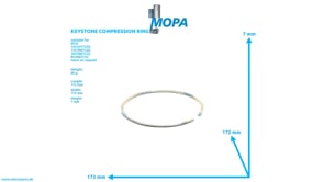 TRAPEZRING - 0010376019 passend für MTU Motoren