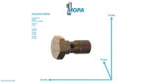 HOHLSCHRAUBE - 04233948 passend für Deutz Motoren