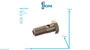 BANJO BOLT - 915011006302 suitable for MTU engines