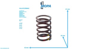 VALVE SPRING - 51041020070 suitable for MAN D engines