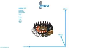 REPARATURSATZ - 01318249 passend für MWM & Deutz Motoren