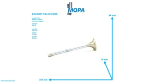 AUSLASSVENTILKEGEL - 02057920 passend für MWM & Deutz Motoren AUSLASSVENTILKEGEL - 02057920 passend für MWM & Deutz Motoren