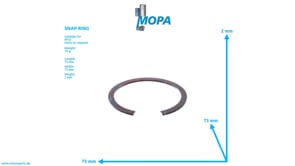 SPRENGRING - 5509940034 passend für MTU Motoren