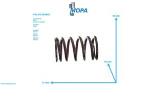 VALVE SPRING - 4030531020 suitable for MTU engines