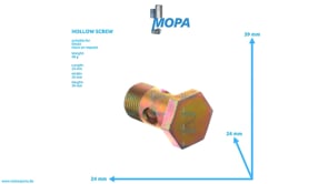 HOLLOW SCREW - 01119250 suitable for Deutz engines