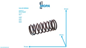 VALVE SPRING - 51041020095 suitable for MAN D engines