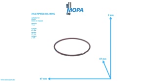 MULTIPIECE OIL RING - 12188124 suitable for Deutz engines