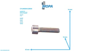 CYLINDER SCREW - 06020990380 suitable for MAN D engines