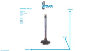 EXHAUST VALVE - 12159605 suitable for Deutz engines