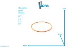 DICHTRING - 8691700110 passend für MTU Motoren