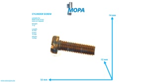CYLINDER SCREW - 51900300078 suitable for MAN D engines