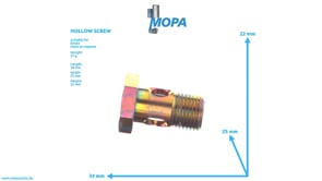 HOLLOW SCREW - 01119248 suitable for Deutz engines