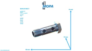 DOPPELHOHLSCHRAUBE - 01178625 passend für Deutz Motoren