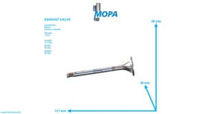 EXHAUST VALVE - 12165099 suitable for Deutz engines