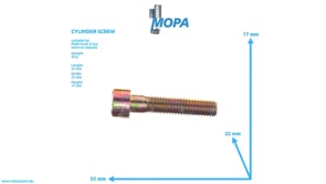 CYLINDER SCREW - 06020990217 suitable for MAN D engines