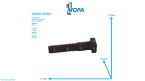 RAENDELSCHRAUBE - 955536 passend für Volvo/Volvo Penta Motoren