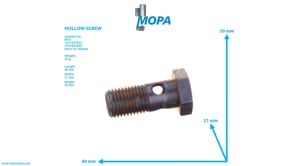 HOHLSCHRAUBE - 000000004748 passend für MTU Motoren