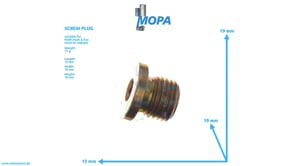 SCREW PLUG - 06080420603 suitable for MAN D engines