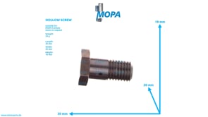 HOLLOW SCREW - 12029990 suitable for MWM & Deutz engines