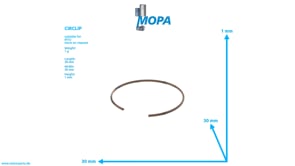 SICHERUNGSRING - 8699940090 passend für MTU Motoren