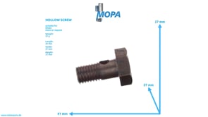 HOLLOW SCREW - 01222495 suitable for Deutz engines