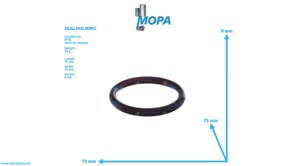 SEALING RING - 0079974648 suitable for MTU engines