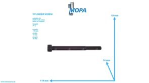 CYLINDER SCREW - 06021910523 suitable for MAN D engines
