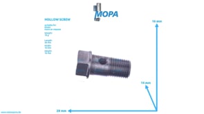 HOHLSCHRAUBE - 12159495 passend für Deutz Motoren