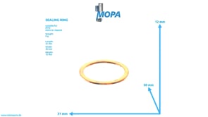 DICHTRING - 8691700130 passend für MTU Motoren