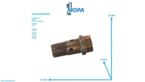 HOHLSCHRAUBE - 02231136 passend für Deutz Motoren