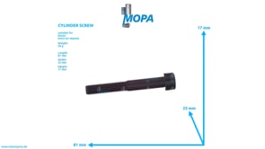 CYLINDER SCREW - 01110695 suitable for Deutz engines
