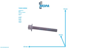 TORX-SCHRAUBE - 9909901003 passend für MTU Motoren