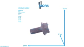 RAENDELSCHRAUBE - 910105008008 passend für MTU Motoren