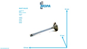 INLET VALVE - 3460530001 suitable for MTU engines