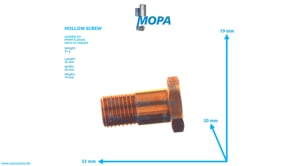 HOHLSCHRAUBE - 04016646 passend für MWM & Deutz Motoren
