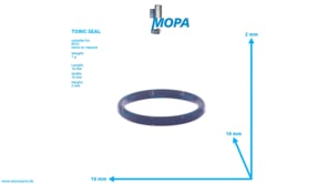 RUNDDICHTRING - 5249970945 passend für MTU Motoren